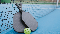 Play Pickleball with us